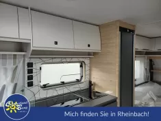 Bild 9 Fendt Apero 465 SFB